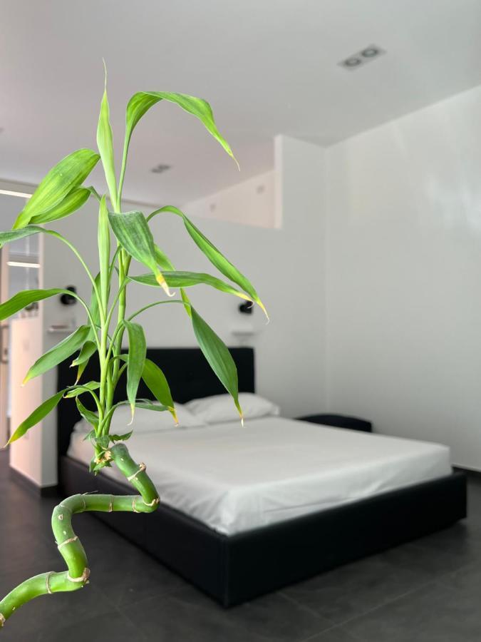 Loft Galla Placidia Равенна Экстерьер фото